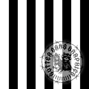 B&W Stripes Cord. Seamless File